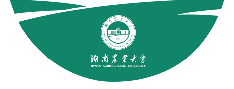 玩球直播APP官网